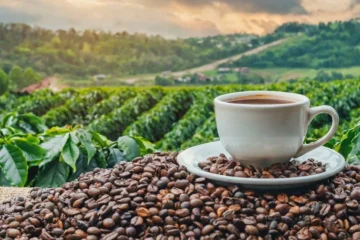 Coffee: Vietnam exports $967 Million in April 2025